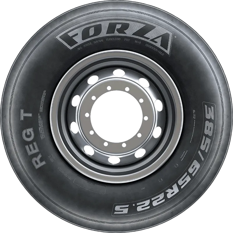 FORZA REG T FORZA REG T